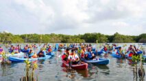 IMIP dukung penanaman mangrove