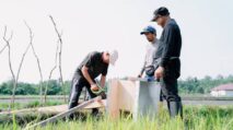 Pengendalian Hama Tikus Terpadu Morowali