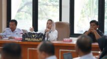 Indeks Ketahanan Daerah Palu