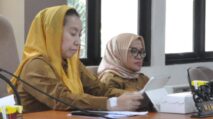 Indeks Ketahanan Daerah Kota Palu