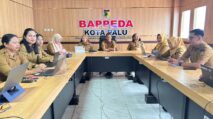 Pemerintahan digital Palu
