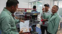 Rumah Oleh-Oleh Telaloa