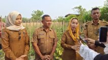 Program Palu Mapan