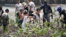 Pelestarian Mangrove IMIP