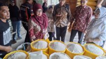 Harga Bahan Pokok Palu